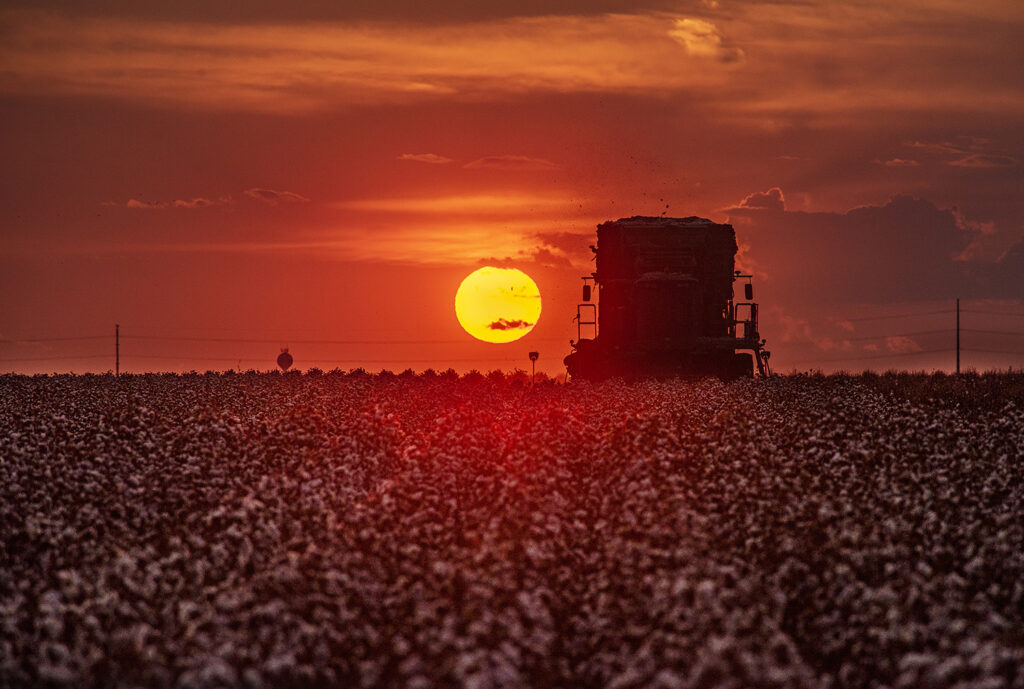 Image courtesy of Andy Sharp for the Austin American-Statesman.